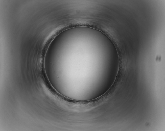 X0000111210016200907011456