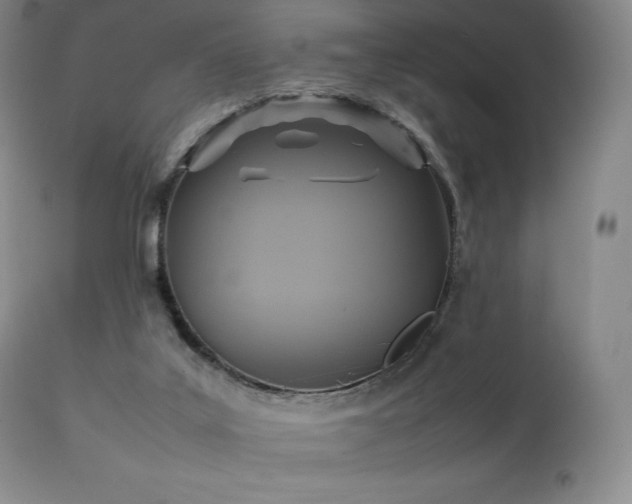 X0000111210019200907011456