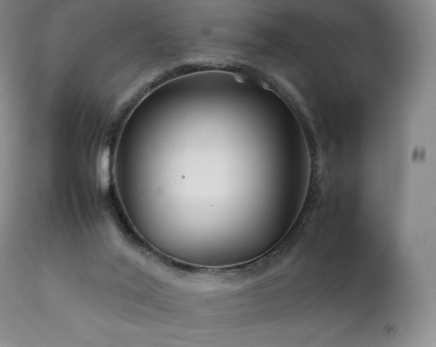 X0000111210020200907011456