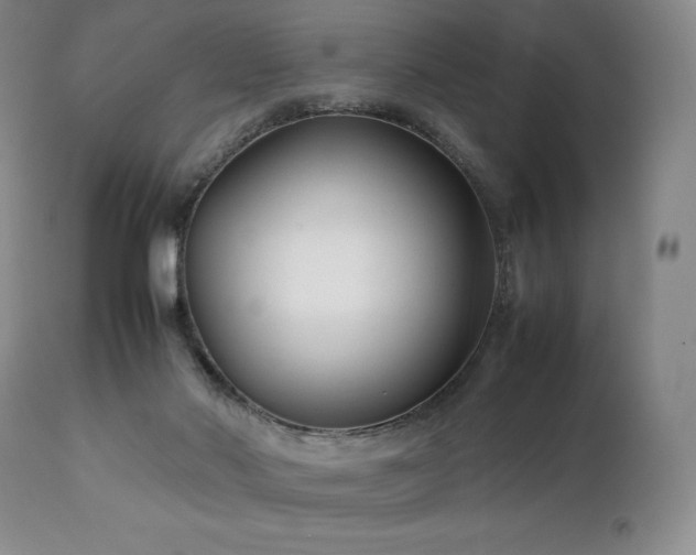 X0000111210022200907011456