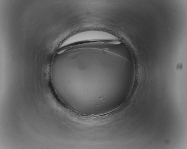 X0000111210023200907011456