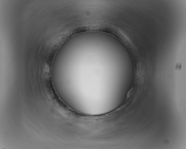 X0000111210025200907011455