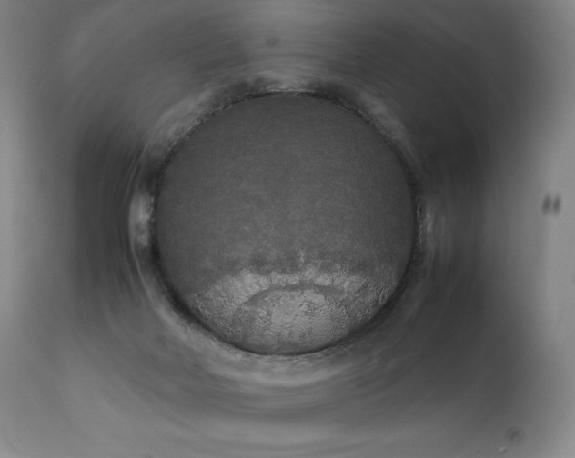 X0000111210026200907011455