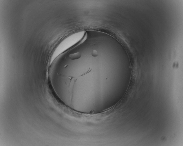 X0000111210027200907011455