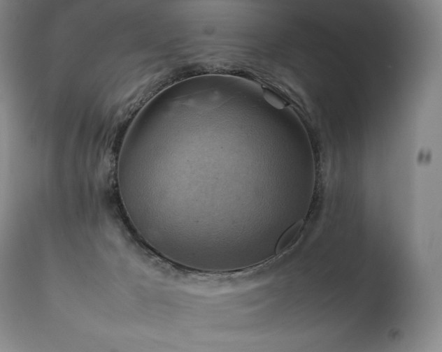 X0000111210029200907011455