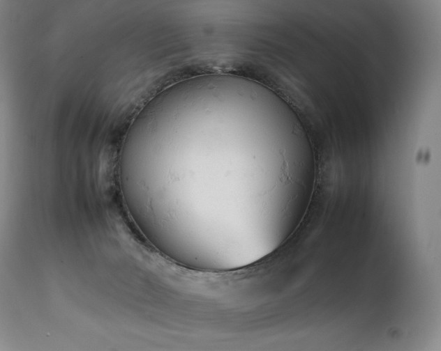 X0000111210030200907011455