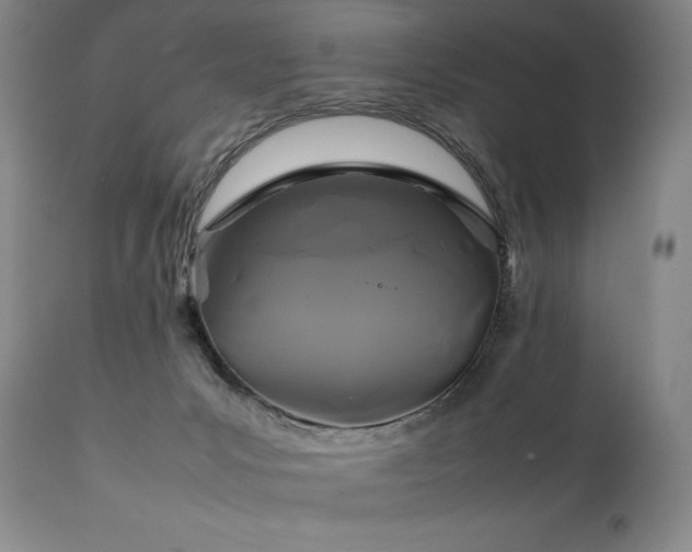 X0000111210031200907011455