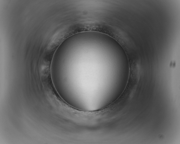 X0000111210034200907011455