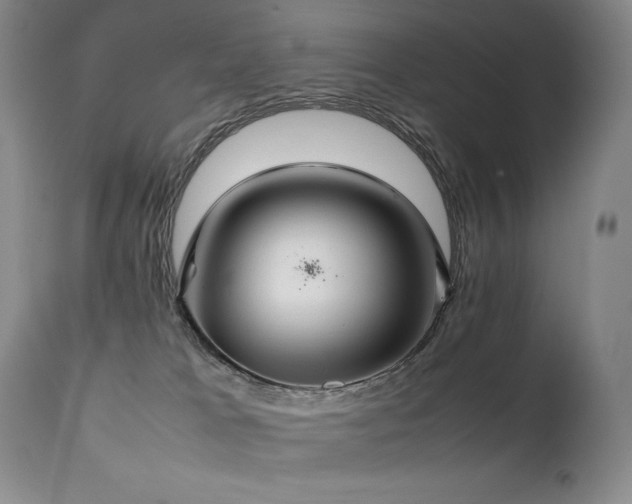 X0000111210037200907011455