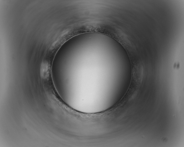 X0000111210038200907011455