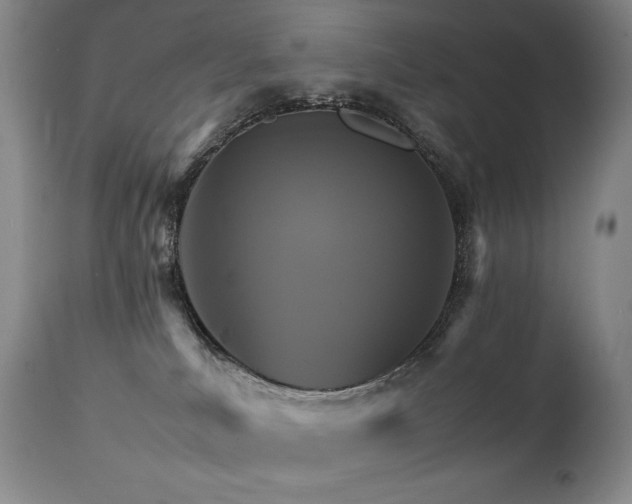 X0000111210039200907011455