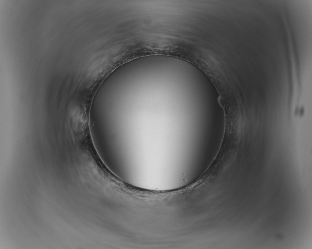 X0000111210040200907011455