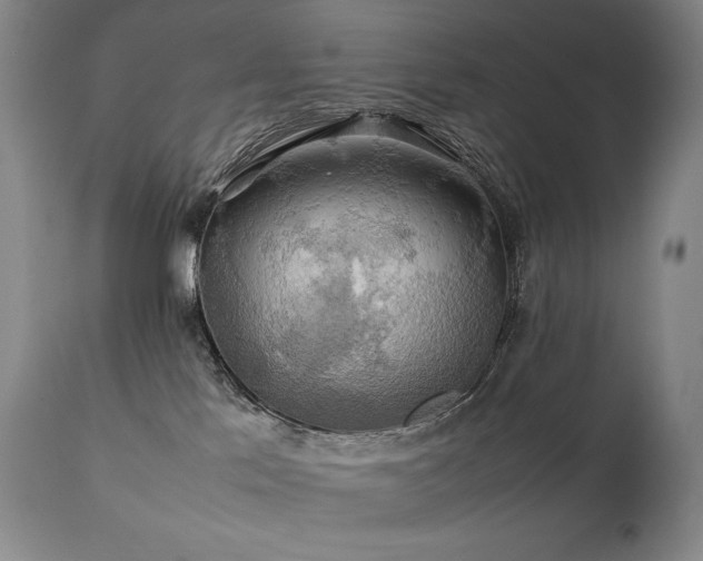 X0000111210041200907011455