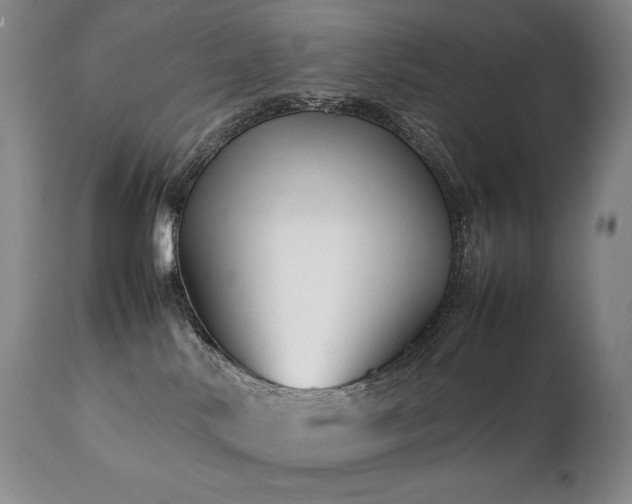 X0000111210042200907011455