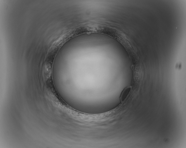 X0000111210043200907011455