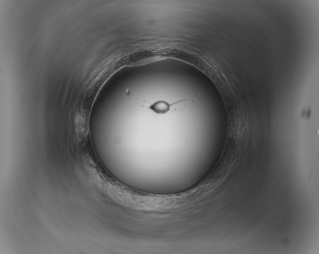 X0000111210044200907011455