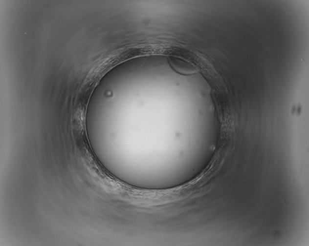 X0000111210045200907011455