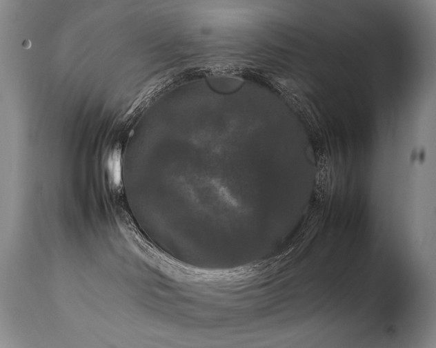 X0000111210046200907011455