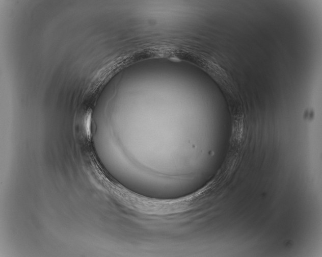 X0000111210047200907011455