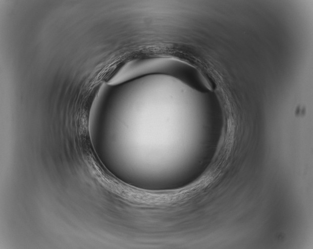 X0000111210048200907011455