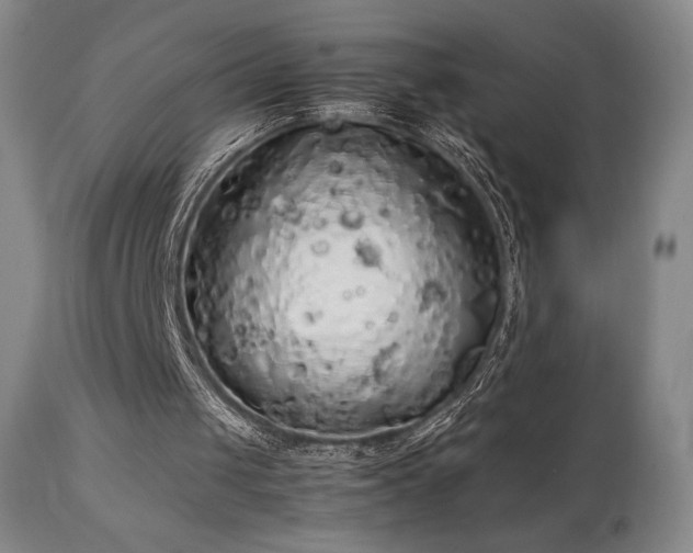 X0000111210049200907011454