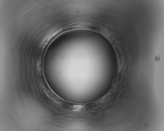 X0000111210050200907011455