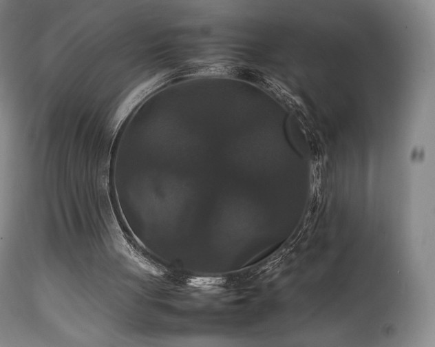 X0000111210051200907011455