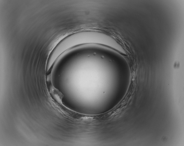 X0000111210052200907011455