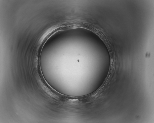 X0000111210054200907011455