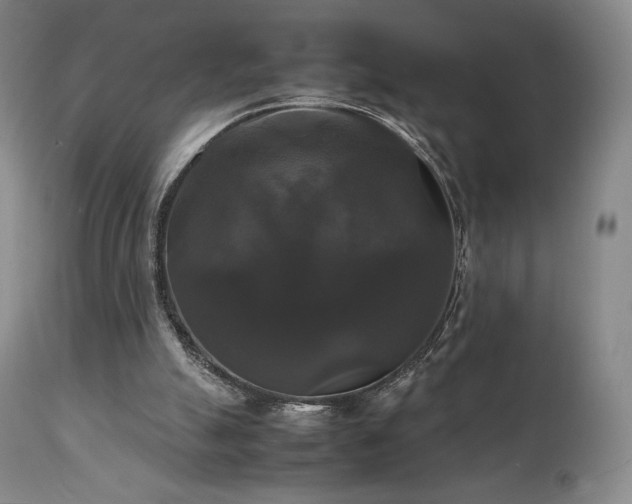 X0000111210055200907011455