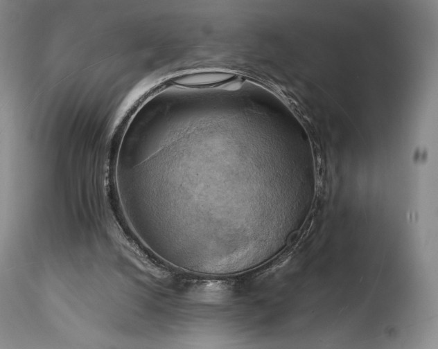 X0000111210056200907011455