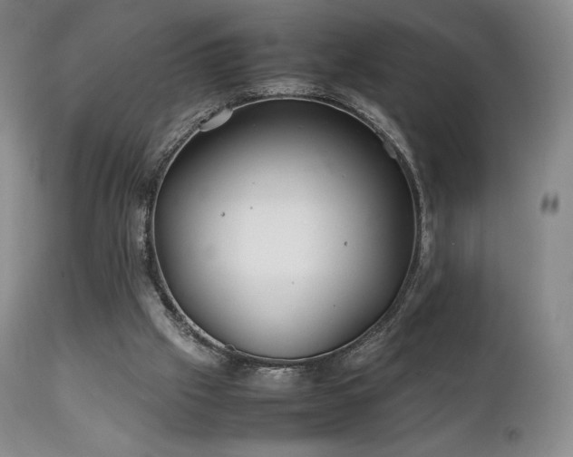 X0000111210057200907011455