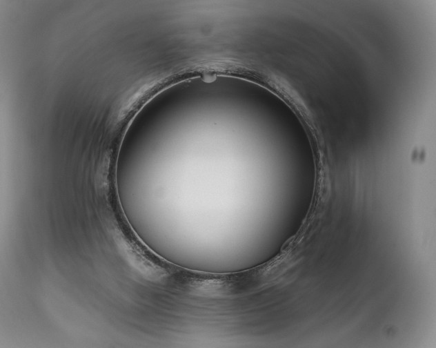 X0000111210058200907011455