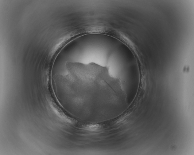 X0000111210059200907011455