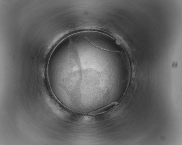 X0000111210060200907011455