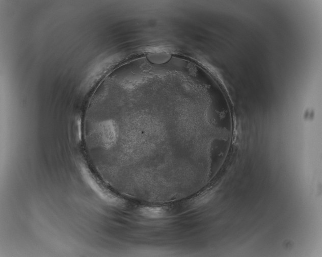 X0000111210061200907011455