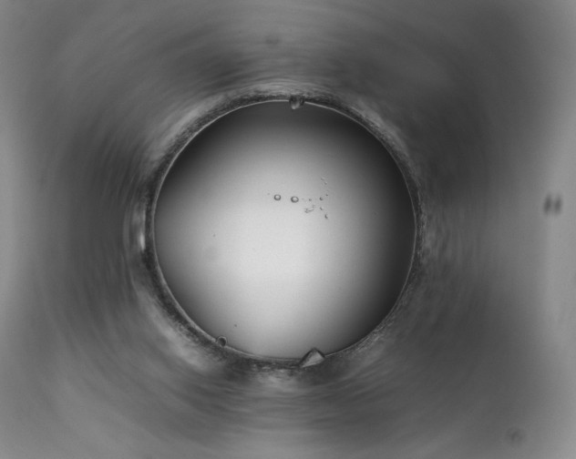 X0000111210062200907011455