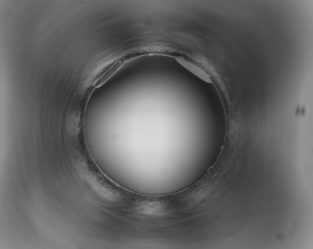 X0000111210063200907011455