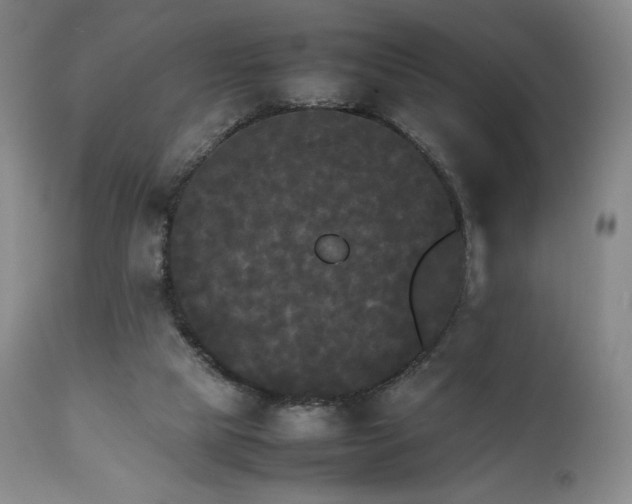 X0000111210065200907011455