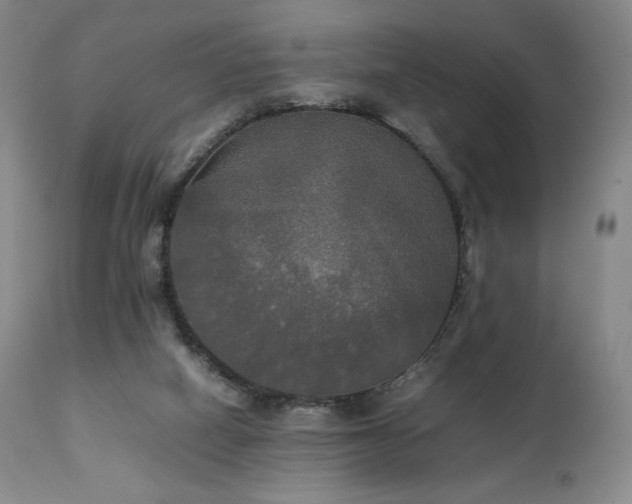 X0000111210066200907011455