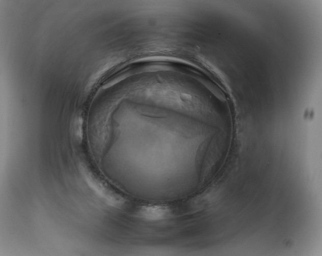 X0000111210067200907011455