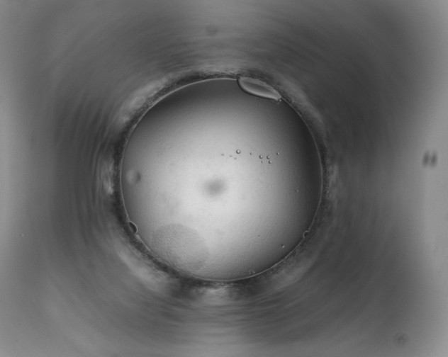 X0000111210068200907011455