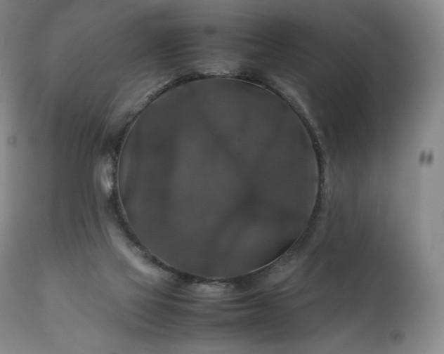 X0000111210069200907011455