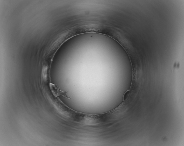 X0000111210070200907011455