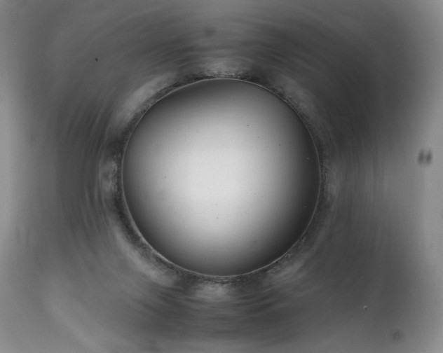 X0000111210071200907011455