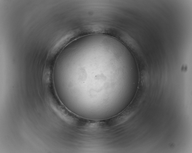 X0000111210072200907011455