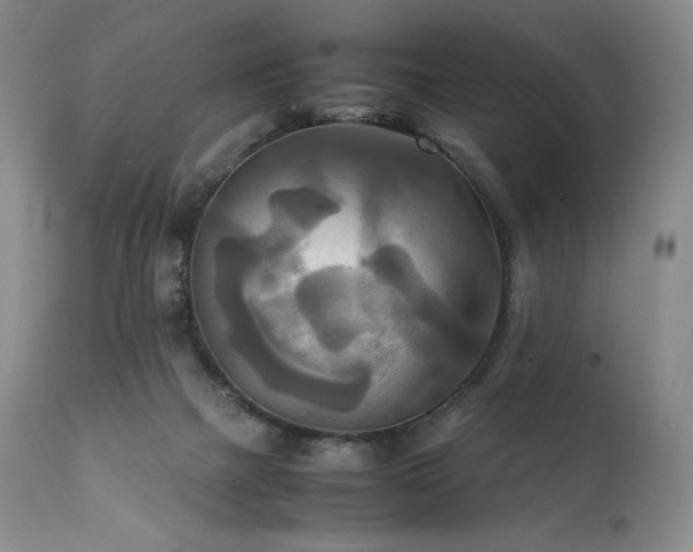 X0000111210073200907011455