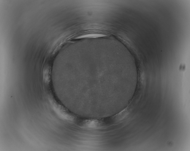 X0000111210074200907011455