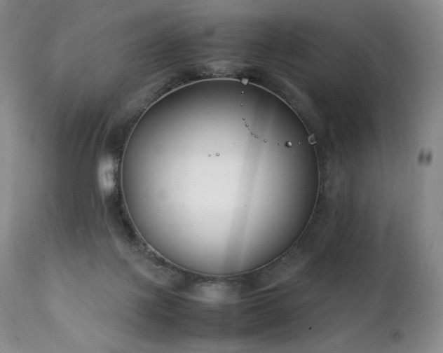 X0000111210075200907011455