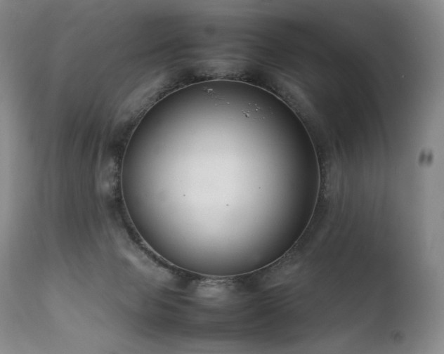 X0000111210077200907011455